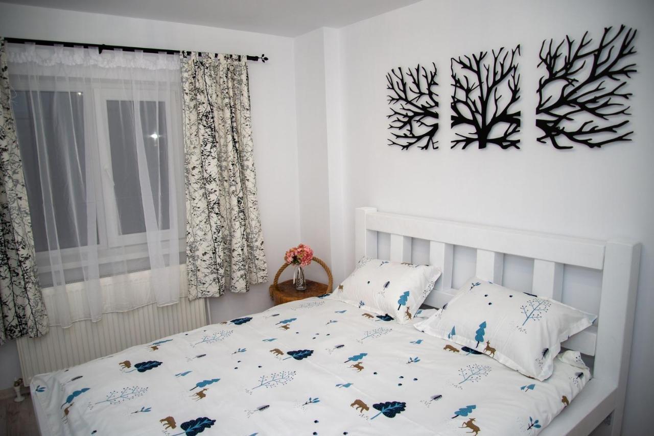 Apartament Daria Tirgu Ocna Luaran gambar