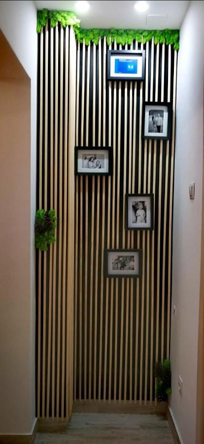 Apartament Daria Tirgu Ocna Luaran gambar